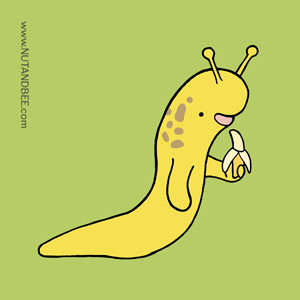 bananaslug_300x300.jpg